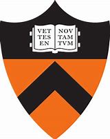普林斯顿大学化学系