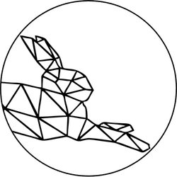 研究兔